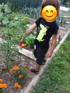 CC7489F6-F5A2-4324-B512-E81ED1D6B58E